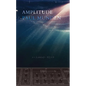 Amplitude - Paperback