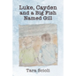 Luke, Cayden and a Big Fish Named Gill: Scioli Adventures - Paperback