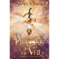Piercing the Veil: Book One of The Veil Saga - Paperback