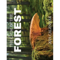 The Calm of the Forest 2025 Calendar - Paperback