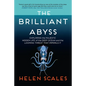 The Brilliant Abyss: Exploring the Majestic Hidden Life of the Deep Ocean, and the Looming Threat That Imperils It - Hardcover