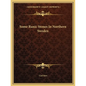 Some Runic Stones In Northern Sweden - Paperback