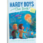 Sea Life Secrets - Hardcover
