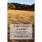 Embedded Amber: Soul- in Search of the Solace - Paperback