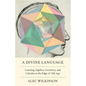 A Divine Language: Learning Algebra, Geometry, and Calculus at the Edge of Old Age - Hardcover