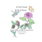 In the Forest, On a Farm - Paperback