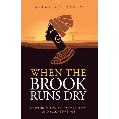 When the Brook Runs Dry: My Journey From Africa to America... and Back a Few Times - Paperback