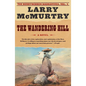 The Wandering Hill - Paperback