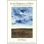In the Brightness of Place: Topological Thinking with and After Heidegger - Paperback