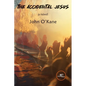 The Accidental Jesus - Paperback