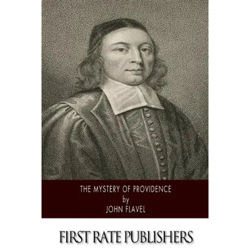The Mystery of Providence - Paperback