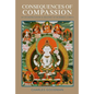 Consequences of Compassion: An Interpretation and Defense of Buddhist Ethics - Paperback