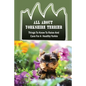 All About Yorkshire Terrier: Things To Know To Raise And Care For A Healthy Yorkie: How To Potty Train A Yorkie - Paperback