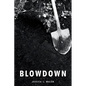 Blowdown - Paperback