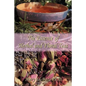 The Essence of Herbal and Floral Teas - Paperback