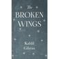Broken Wings - Hardcover