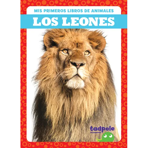 Los Leones (Lions) - Library Binding