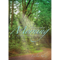 New Every Morning: 52 Devotions for Caregivers - Paperback