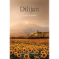 Dilijan: A story of survival - Paperback
