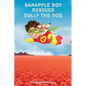 Banapple Boy rescues Dolly the Dog - Hardcover
