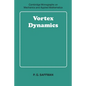 Vortex Dynamics - Paperback