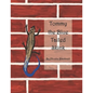 Tommy the Blue Tailed Skink - Paperback