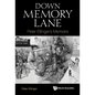 Down Memory Lane: Peter Ellinger's Memoirs - Paperback