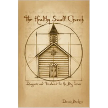 The Healthy Small Church: Diagnosis and Treatment for the Big Issues - Paperback