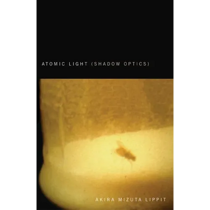 Atomic Light (Shadow Optics) - Paperback