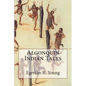 Algonquin Indian Tales - Paperback