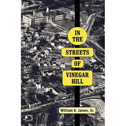 In The Streets Of Vinegar Hill - Paperback