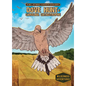 Dove Hunt: Carolina Catastrophe: Carolina Catastrophe - Library Binding