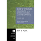 God's Wounds: Hermeneutic of the Christian Symbol of Divine Suffering, Volume One: Divine Vulnerability and Creation - Paperback