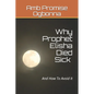 Why Prophet Elisha Died Sick and How To Avoid It - Paperback