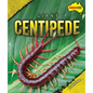 Giant Centipede - Library Binding