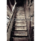 Spirits of The Olde Park Hotel - Paperback