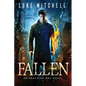 Fallen: A Dystopian Alien Invasion Adventure - Paperback