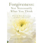 Forgiveness: Not Necessarily What You Think: What the Bible Really Says, and What it Doesn't Say - Paperback
