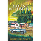 Behind Mount Rushmore - Paperback