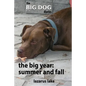 The Big Year - Summer and Fall - Paperback