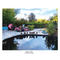 Ducks in a Row - Hardcover