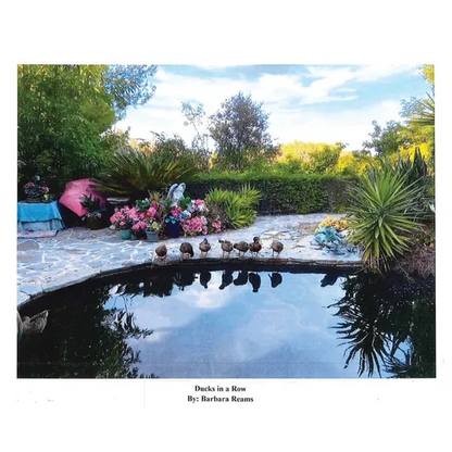 Ducks in a Row - Hardcover