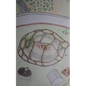 The Turtle Test - Paperback