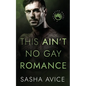 This Ain't No Gay Romance - Paperback