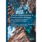 Effective Implementation of Transformation Strategies: How to Navigate the Strategy and Change Interface Successfully - Hardcover