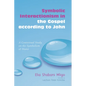 Symbolic Interactionism in the Gospel according to John - Paperback