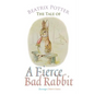The Tale of a Fierce Bad Rabbit - Paperback
