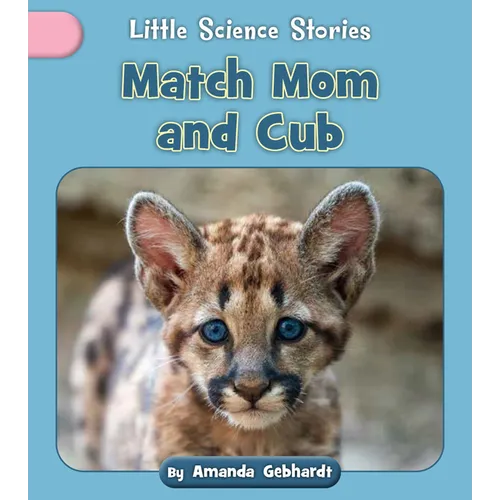 Match Mom and Cub - Paperback
