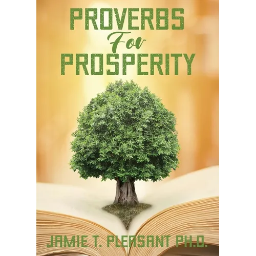 Proverbs For Prosperity - Paperback