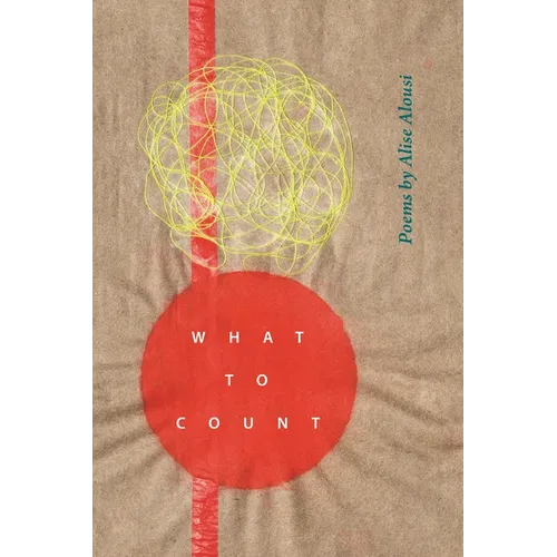What to Count - Paperback